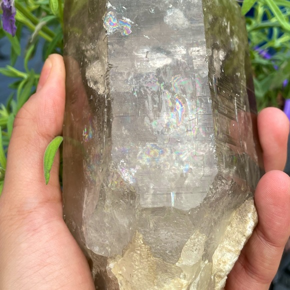 EARTHBOUND Other - ❣︎ HUGE Himalayan Smoky Quartz ❣︎